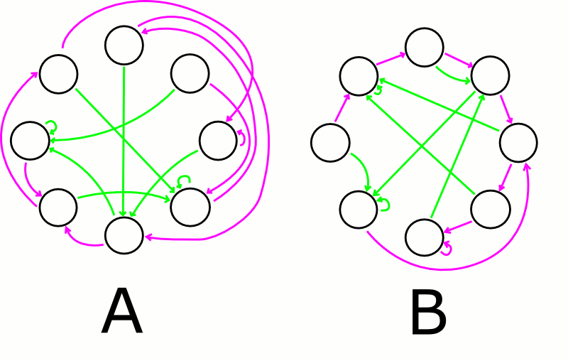 Couple of bi-graphs
